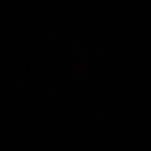 Meet your Posher, Jade